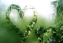 天涯神贴四大预言 全都在网上火过！